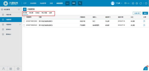 客戶體驗(yàn)管理系統(tǒng) OA辦公自動(dòng)化系統(tǒng)高端品牌 九思軟件