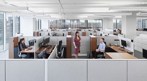 時(shí)尚辦公網(wǎng) 辦公設(shè)計(jì) 設(shè)計(jì)欣賞 優(yōu)雅高級(jí)灰 房地產(chǎn)開發(fā)商first gulf多倫多辦公設(shè)計(jì)欣賞